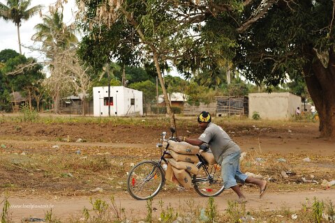 _199000-F2010___8022 Mozambique, pays Makonde, Muidumbe