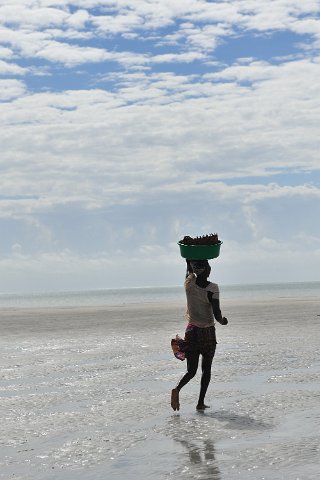 _014000-F2010___6421 Mozambique, région de Pemba, Murrebue, bord de mer