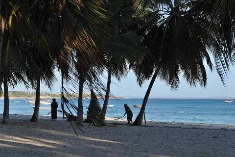 _385000-F2010___9418 Mozambique, Pemba, balayage de la plage au matin