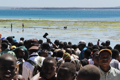 _388500-F2010___9467 Mozambique, Pemba, foule dépeçant une baleine échouée