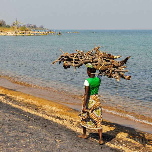 Lac Niassa Mbuna Bay Le lac Niassa (appelé aussi lac Malawi ) et ses 600km de long borde cette province oubliée à l'extrême Nord Est du...