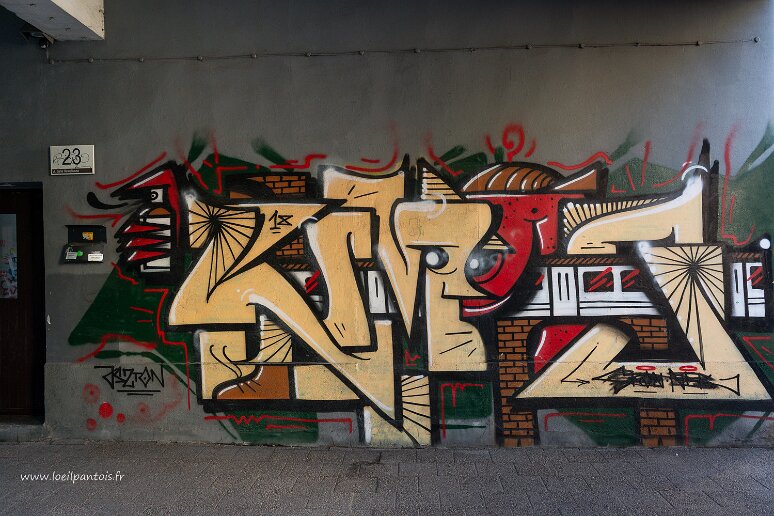 DSC_3214 Street art ul Jana Heweliusza