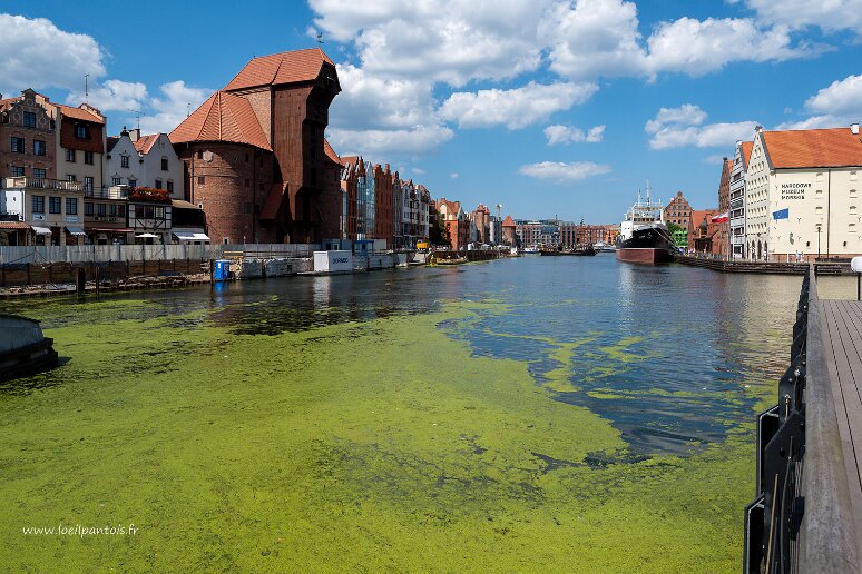 DSC_3377 Vue sur le long quai (Długie Pobrzeże) le long de la Motlawa, vue la grue médiévale et, à droite sur le musée maritime national et le vaisseau musée soldek.