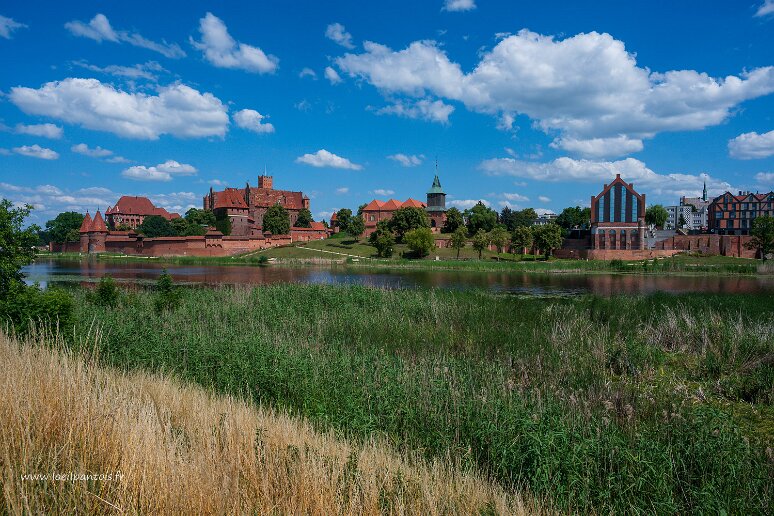 DSC_3196 Chateau de Malbork depuis la rivière Nogat