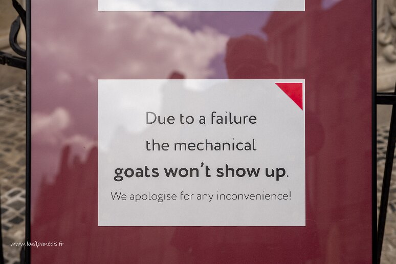 DSC_3936 Chaque jour, sur la tour de l'hotel de ville, deux chèvres mécaniques se donnent des coups de tête attirant de nombreux badauds. Malheureusement....