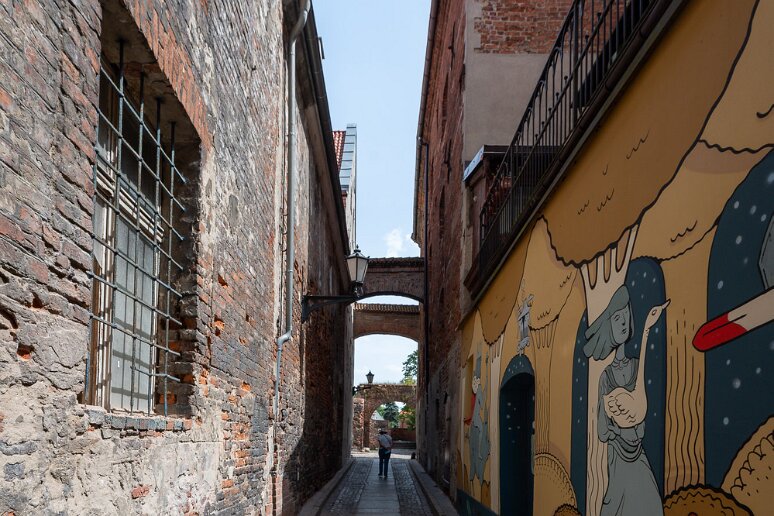 DSC_3788 Rue Ciasna, peintures murales Magdalena Lipowiec+ A.Popro stv 2022