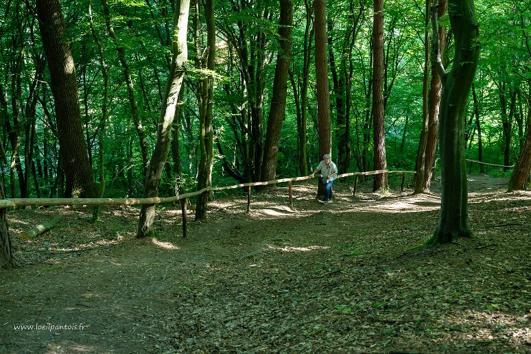 DSC_1541 Ulucz, église orthodoxe de l'ascension du seigneur (1659). L'église mérite son nom tant elle est perchée sur la colline Debnik aux abords bien raides. Il est...