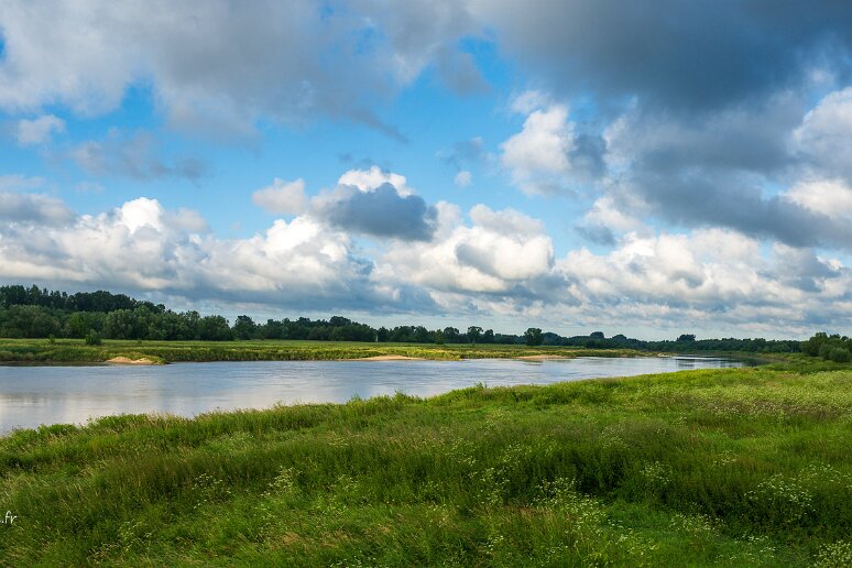 DSC_1860 Les rives de la Vistule, principal fleuve de Pologne qui prend sa source au sud de Cracovie et termine dans la mer Baltique près de Gdansk au bout de plus de...