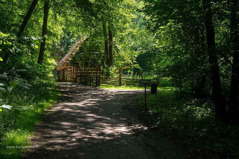 DSC_1601 Musée d'architecture populaire de Sanok, bâtiment double usage agricole et habitation, 1861