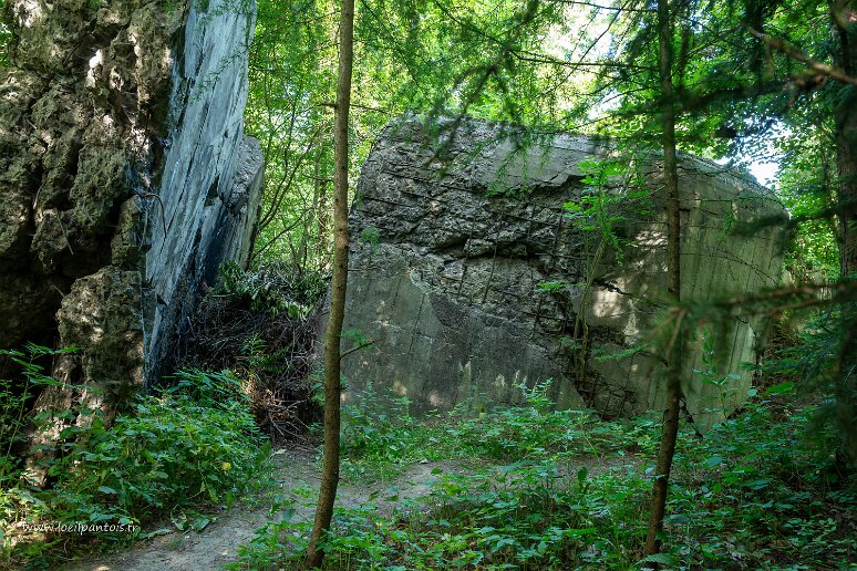 DSC_1727 Vestiges de la ligne Molotov, sorte de ligne Maginot construite entre 1940 et 1941 par l'URSS sur sa frontière occidentale des pays baltes aux carpates sur 1300...