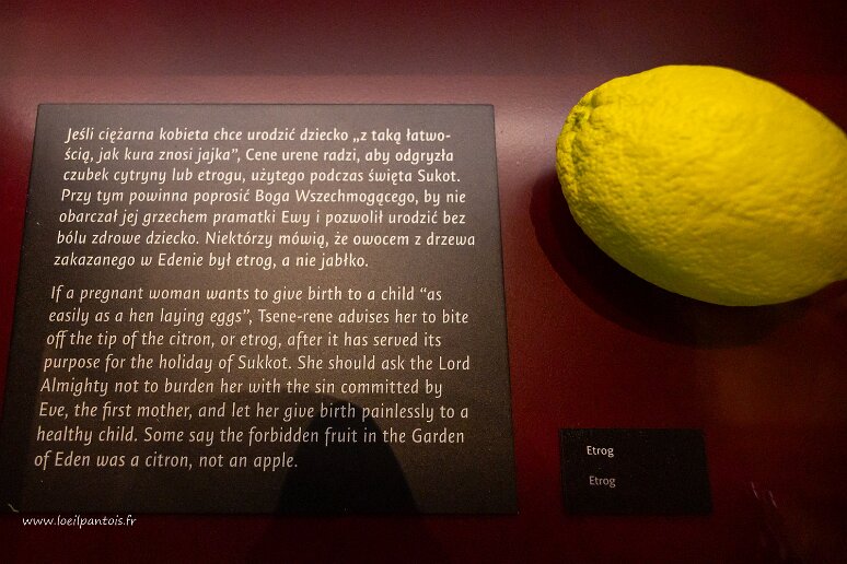 DSC_2835 Musée de l'histoire des juifs polonais, illustration d'un passage de la Tsene Rene, souvent appelée Bible des Femmes, en fait traduction de la Torah pour...