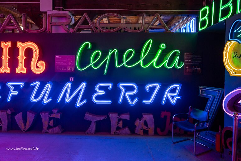 DSC_2865 Musée du néon, enseigne de l'entreprise Cepelia (industrie folklorique centrale), 1959