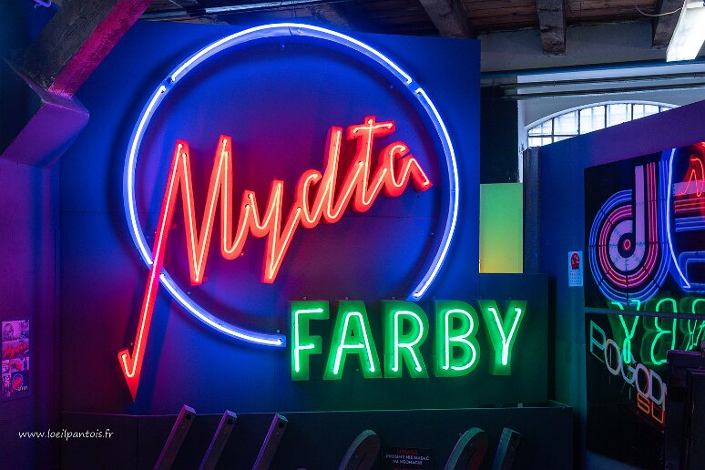 DSC_2877 Musée du néon, enseigne de 1960 pour un magasin de savons et de peintures de Varsovie