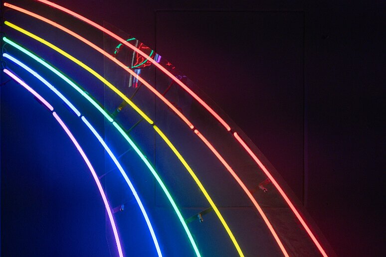 DSC_2879 Musée du néon; enseigne en forme d'arc en ciel de l'épicerie PSS spolem, années 1960