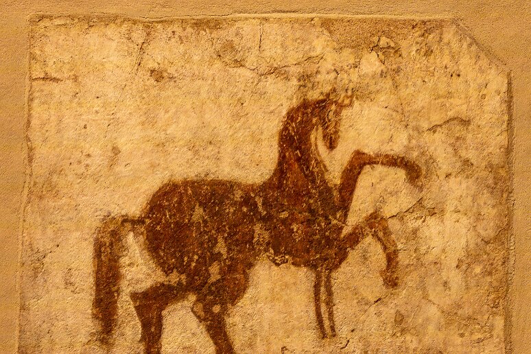 DSC_2621 Musée national de Varsovie, fouilles de Faras, cheval, XI-XII e s