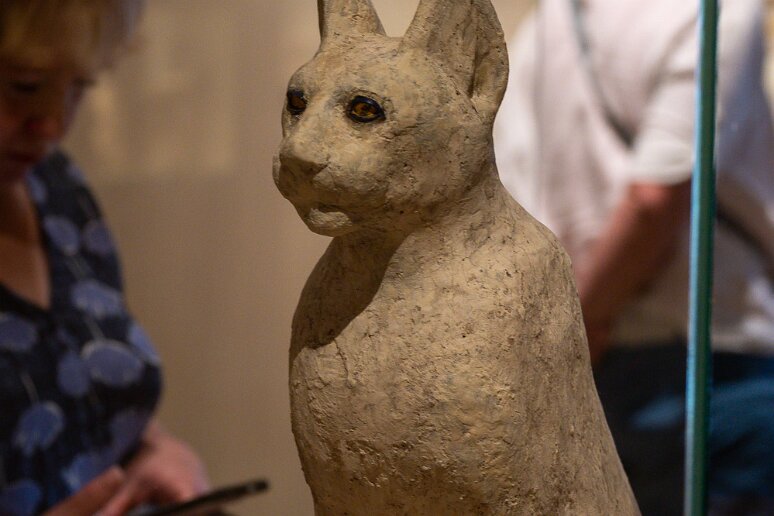DSC_2640 Musée national de Varsovie, momie de chat (iVe-VIIe s av JC). Les égyptiens considéraient de nombreux animaux comme représentants des dieux et donc les...