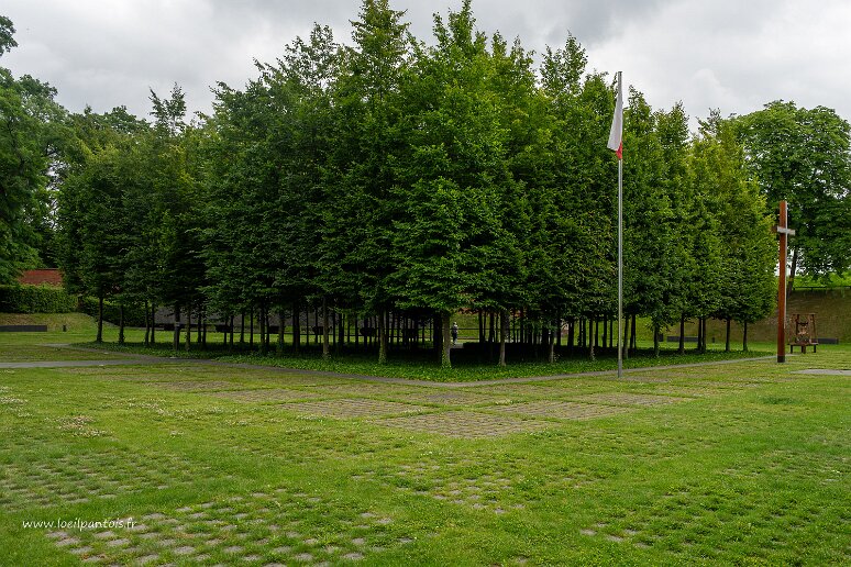 DSC_2286 Musée de Katyn, La forêt sentinelle, symbole des endroits qui ont caché la réalité du massacre de Katyn durant des années.