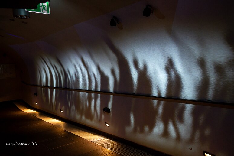 DSC_2294 Musée de Katyn, le massacre de Katyn désigne un ensemble de massacres d'environ 22000 offciers et cadres polonais faits prisonniers par l'armée soviétique en...