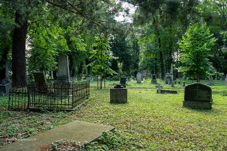 DSC_0221 Eglise de Swidnica, cimetière autour de l'église