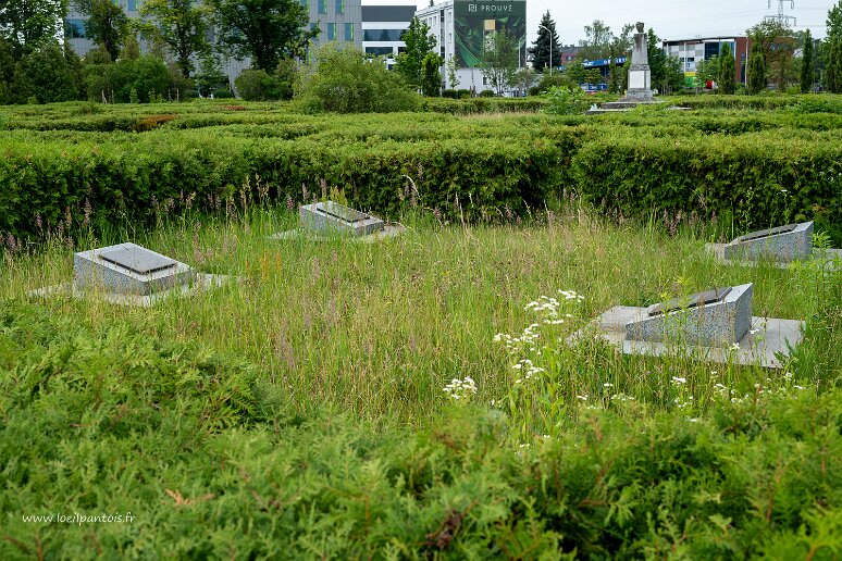 DSC_0699 Cimetière des officiers soviétiques de Wroclaw (1945). Comme la plupart des cimetières soviétiques en Pologne l'entretien est très minimaliste. IL faut se...