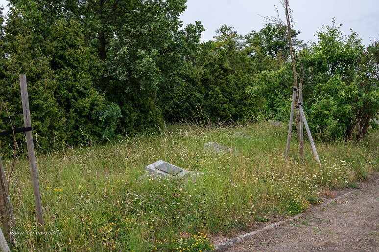 DSC_0705 Cimetière des officiers soviétiques de Wroclaw (1945). Comme la plupart des cimetières soviétiques en Pologne l'entretien est très minimaliste