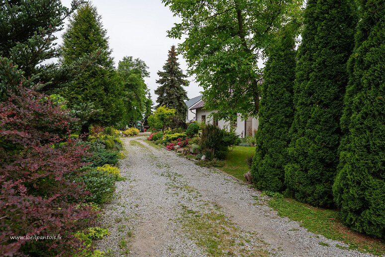 DSC_0716 Malujowice, jardin