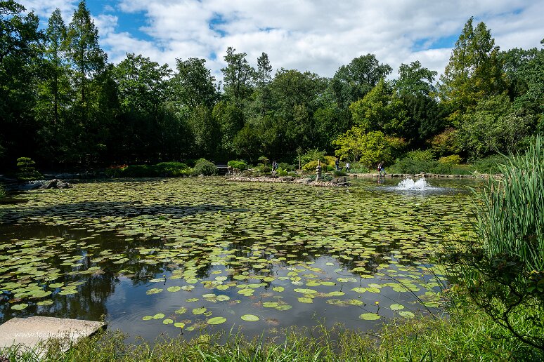 DSC_0670 Parc de la halle du centenaire, jardin japonais (1913, remodelé en 1997)