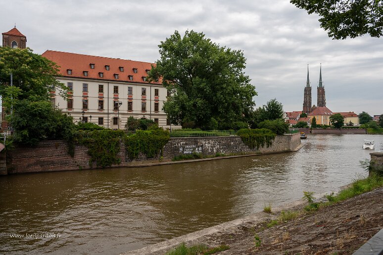 DSC_0282 Vue sur l'Oder, le batiment des études juives de l'université et, au fond, sur la cathédrale St Jean Baptiste