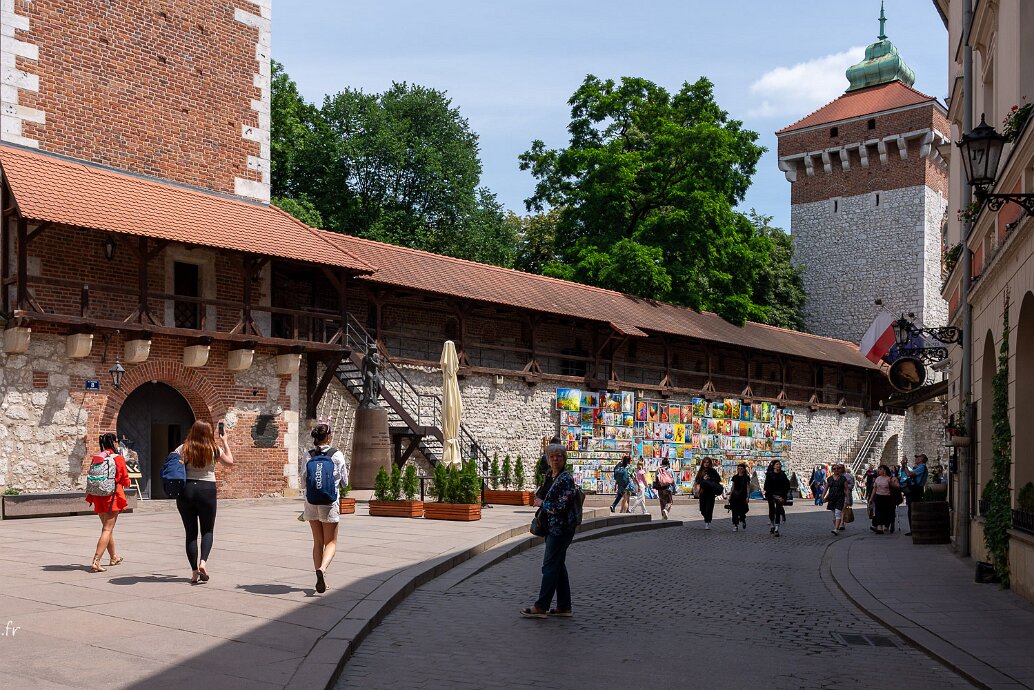 Musée des princes Czartoryski