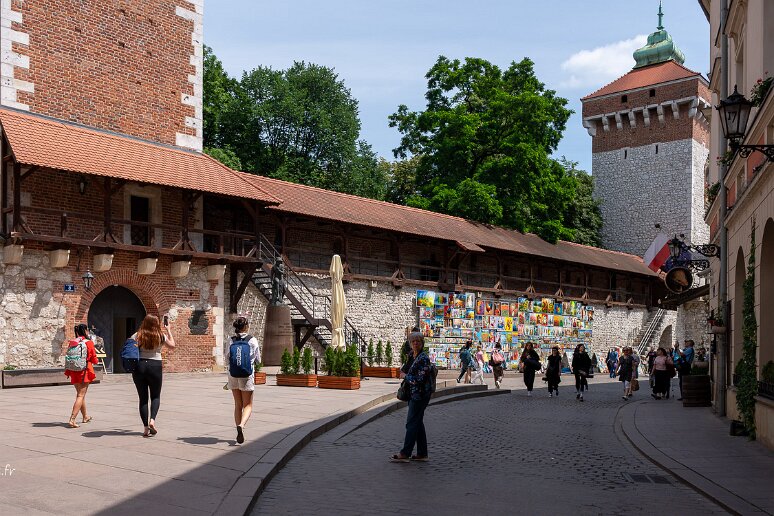 DSC_1110 Remparts de la ville devant le musée des princes Czartoryski,