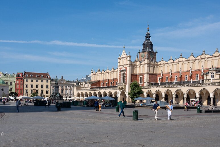 DSC_1010 Grand place du marché (rynek), place de 4ha fondée en 1257, avec, au centre, la halle aux draps (fin XIVe s reconstruite et augmentée ensuite, arcades du XIXe...