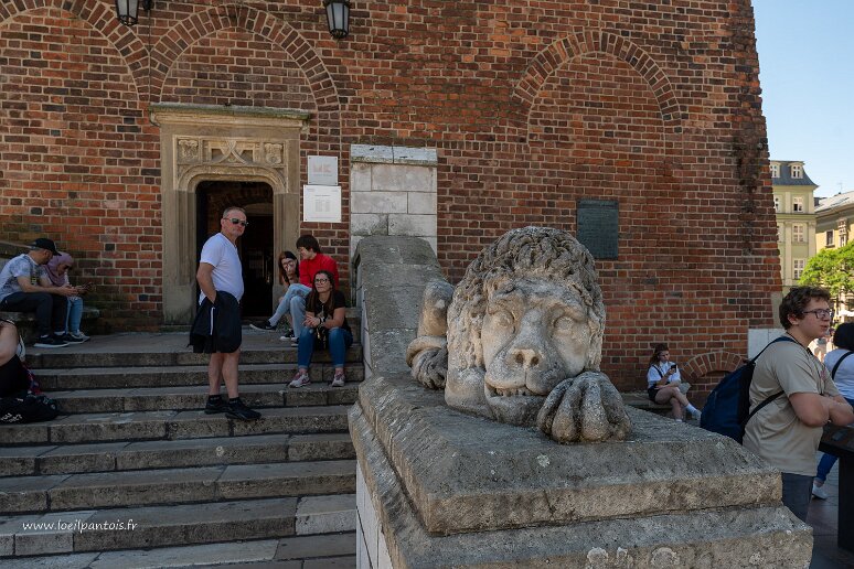 DSC_1264 Rynek, lion de l'escalier de sortie du beffroi de l'hotel de ville