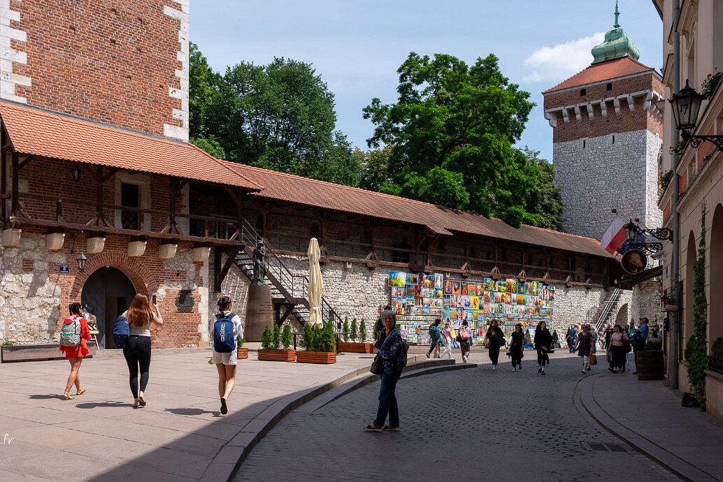Musée des princes Czartoryski Le musée des Princes Czartoryski provient d'une collection initiée par la princesse Izabela Czartoryska (1745-1835),...