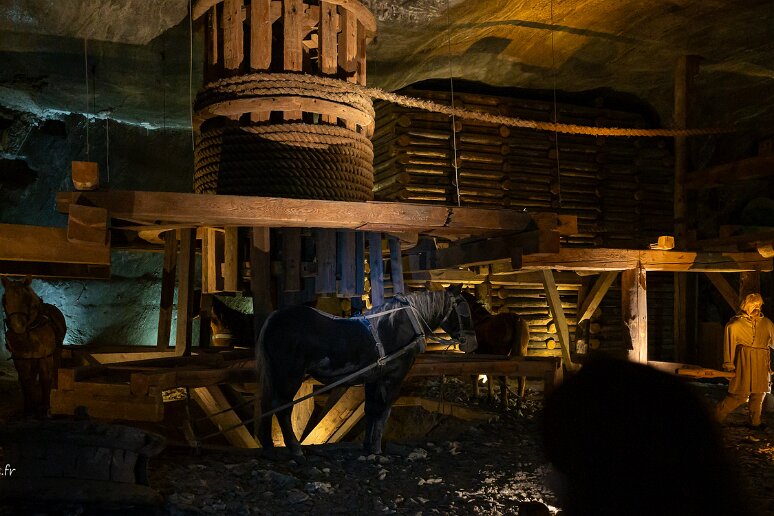 DSC_1389 Mine de sel de Wieliczka, treuils mus par des chevaux. Il y avait une écurie dans la mine.