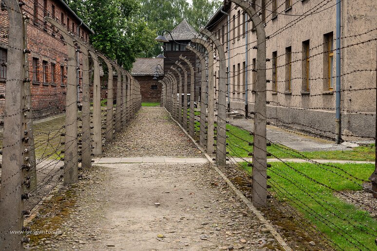 DSC_0929 Mémorial d'Auschwitz-Birkenau, camp d'Auschwitz I, clôtures électrifiées.