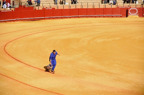 F2012___18928 Feria de Seville: corrida 