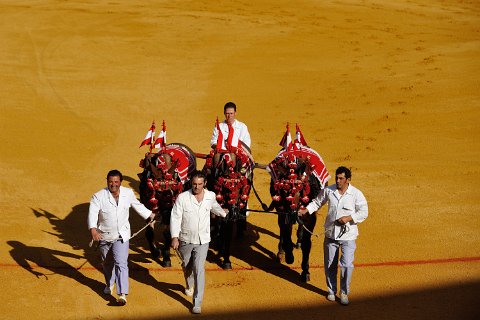 F2012___18949 Feria de Seville: corrida 