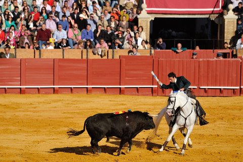 F2012___18968 Feria de Seville: corrida 