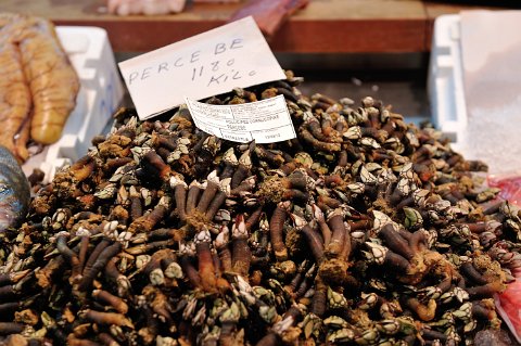 F2012___18591 Seville: mercado de Triana