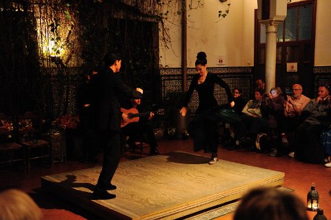 F2012___18136 Seville , casa de la Memoria, flamenco