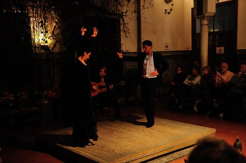 F2012___18138 Seville , casa de la Memoria, flamenco