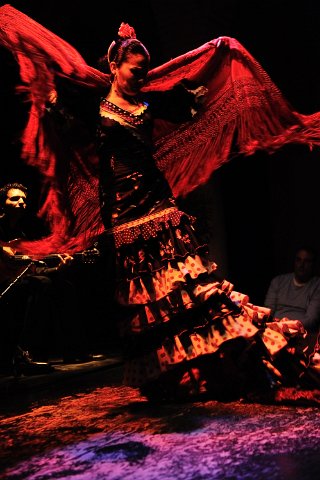 F2012___18373 Seville: spectacle de flamenco au Museo del Baile Flamenco