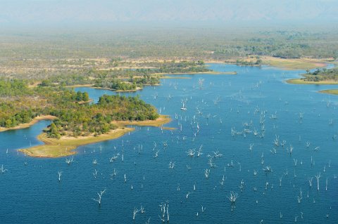 4580F2012___34043 Lac Kariba, vers Gordon Bay, forêt de mopanes engloutis