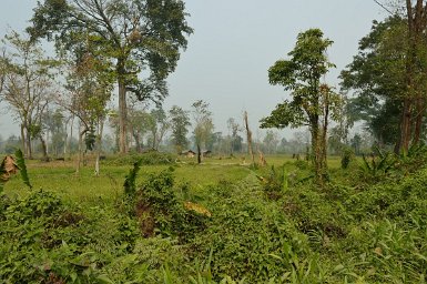 61500F2015___05573 Au bord de la route, à 25 km de Chongkham. La déforestation est considérable, bien que totalement interdite pour faire des cultures...