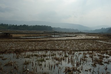 28250F2015___02583 Village de Hong, près de Ziro, cultures de rizières Apatani, en friche à cette saison. le repiquage a lieu en avril mai et les récoltes fin novembre.