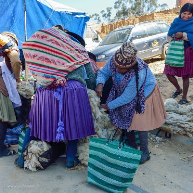 F2016___09560 Tarabuco, pour tisser il faut de la laine ( de mouton pour les tissus de Tarabuco) et le choix est une affaire sérieuse.