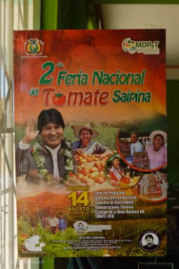 F2016___09023 Saipina, affiche pour la fête de la tomate. Comme partout, on y trouve le portrait du Président Evo Morales.