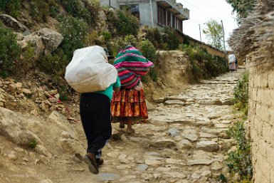 F2016___15061 Lac Titicaca, Ile du Soleil, L'île est piétonne et les habitants, retour de foire, portent parfois de lourdes charges