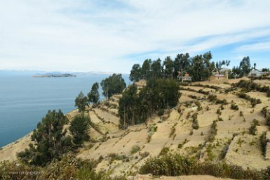 F2016___15070 Lac Titicaca, Ile du Soleil, champs de pomme de terre
