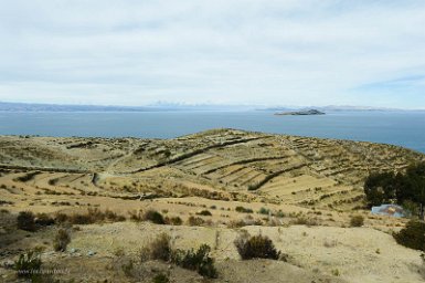 F2016___15077 Lac Titicaca, Ile du Soleil, champs de pomme de terre et, au fond, la Cordillère royale.
